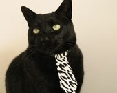 史上最绚丽“冠军庆典”，荣耀时刻永难忘怀，冠军庆祝动作