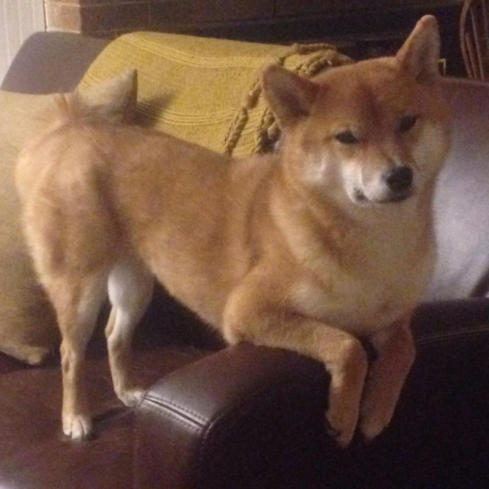 九游网页版官网-_航海运动全球巡演：浪花中的速度与激情_，航海浪漫