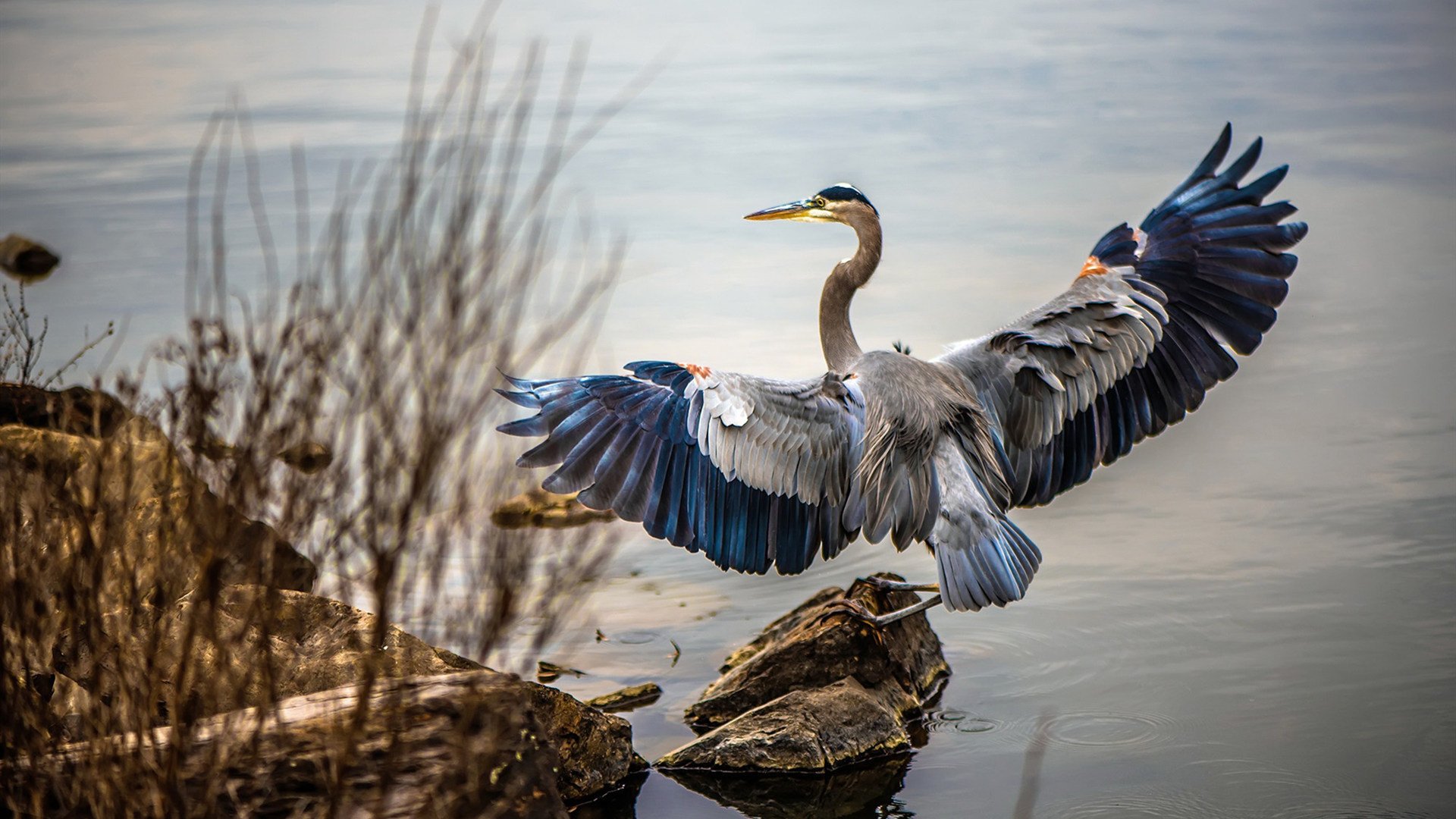 “未来之星”青少年篮球系列培训在重庆全面铺开,助推青训升级